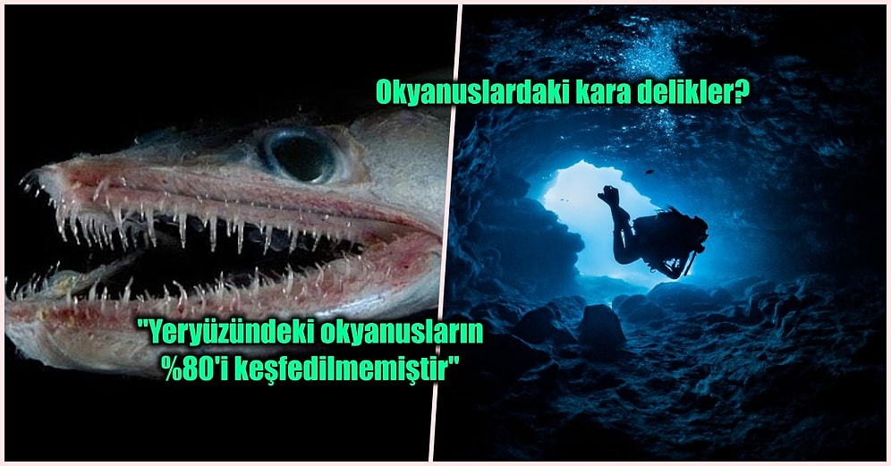 Talasofobisi Olanlar Bakmasın! Okyanuslar Hakkında Tamamen Gerçek Olan Birbirinden Ürkütücü 13 Bilgi