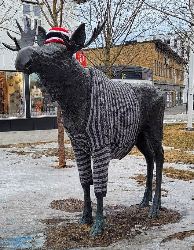 3. Birisi Brumunddal'daki geyik heykeli için bir kazak örmüş.