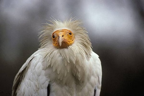 11 странных фактов, от которых у вас вспотеют ладони