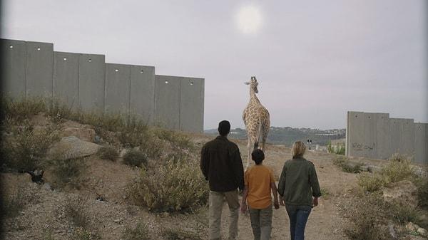 23 Temmuz 21:30 - Girafada (Zürafaa)
