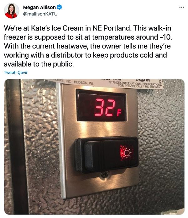 12. "Portland'da bulunan Kate's Ice Cream'deyiz. Bu dondurucunun ısısının -10 civarında olması gerekiyor. Sıcak hava dalgası ile birlikte patronumuz ürünleri soğuk tutacak bir dağıtıcı ile çalıştıklarını söyledi."