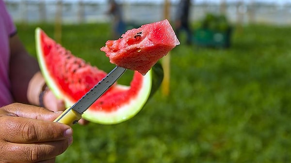 Fiyatı en çok düşen ürün karpuz