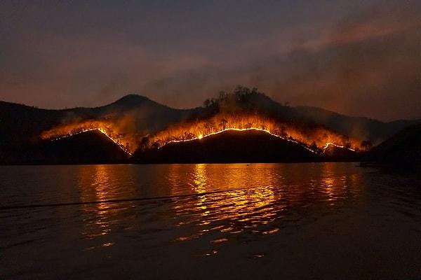 Deniz kıyısında gerçekleşen orman yangınlarının da etrafındaki su kaynakları üzerinde büyük etkisi oluyor.