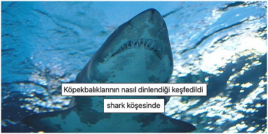 Yaptıkları Kelime Şakalarıyla Yer Yer Soğuk Terler Döktürüp Yer Yer Kahkaha Attıracak 19 Kişi