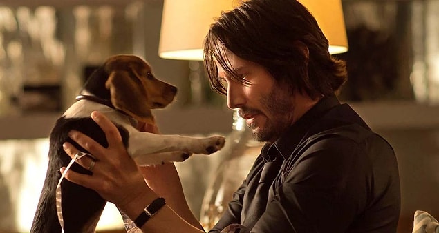 7. "Bir şirkette iş görüşmesine gittiğimde benden koridordaki kanepede beklememi istemişlerdi. Beklerken yanıma bir köpek geldi. Köpeği sevmeye başladım."