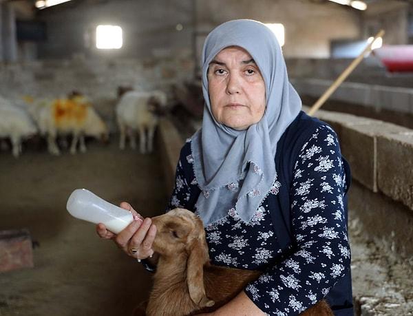 Bakanlık başvurusuyla 183 koyun alarak çiftliği büyüten Sakaroğlu, hayvanlardan elde ettiği süt ürünlerini satarak, aradan geçen süre içerisinde 600 koyun ve 20 inek sahibi oldu.