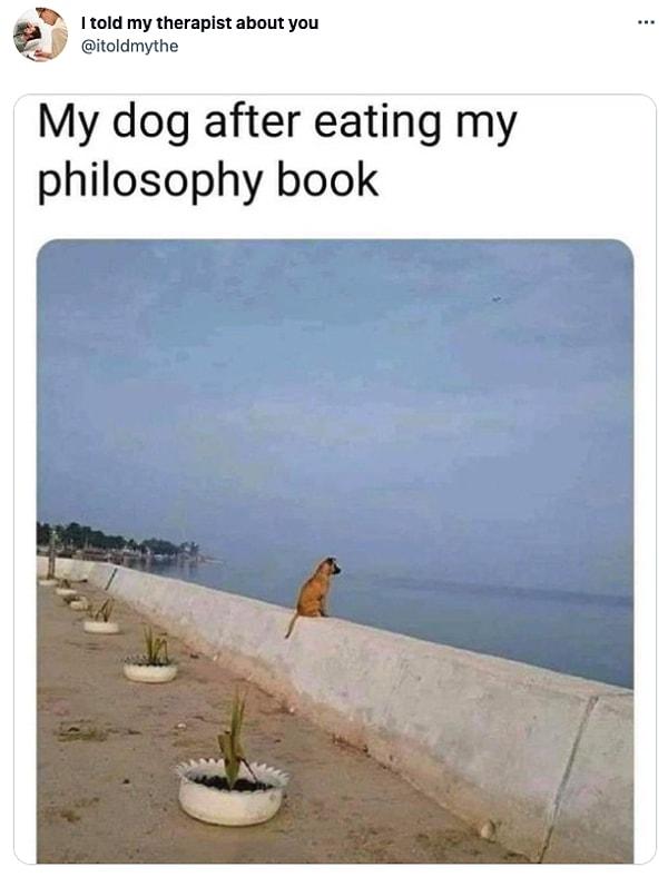 13. "Felsefe kitabımı yedikten sonra köpeğim."