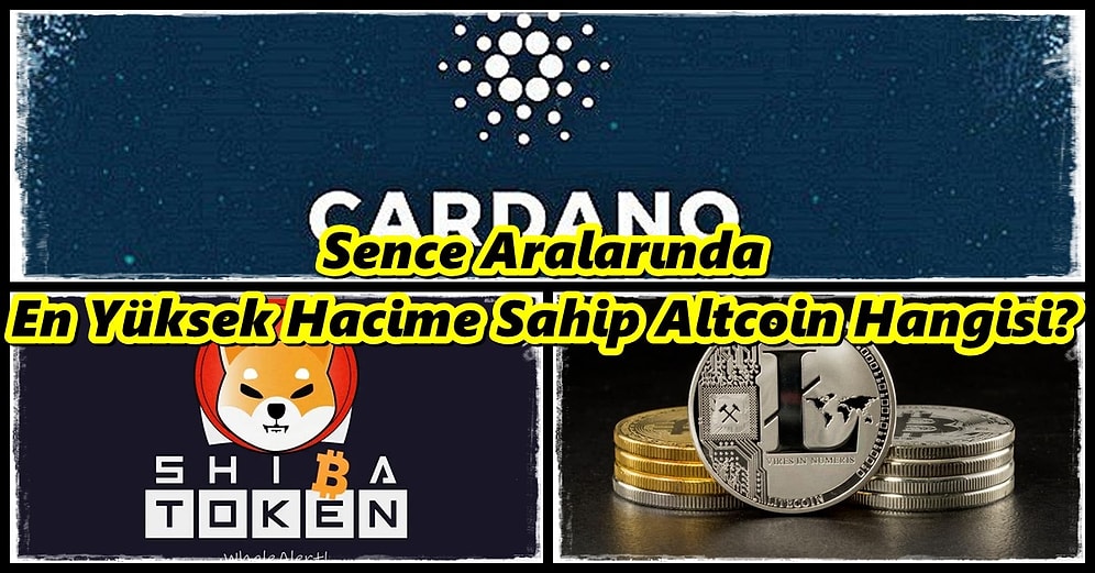 Aralarında En Yüksek Hacime Sahip Altcoin Hangisi?