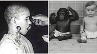 Bu Nasıl Acımasızlık! Çocuklar Üzerinde Uygulanmış İnsanlık Dışı Deneyler
