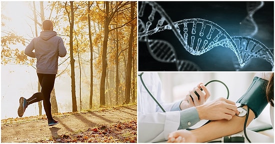 Mehmet Ali Deniz Yazio: Egzersiz, Tansiyon ve Genetik