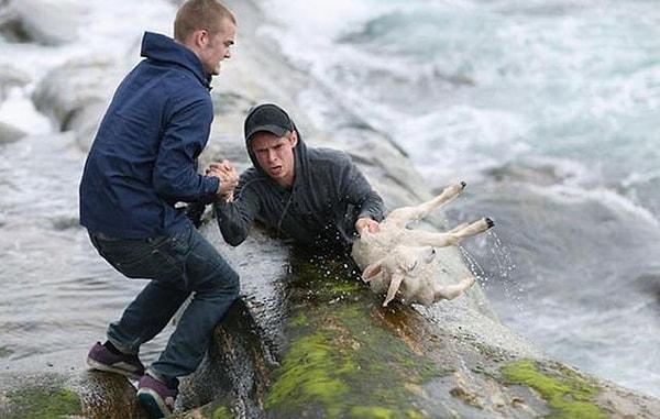 18. Kış ayında Norveç kıyılarında bir kuzunun denize düştüğünü gören iki genç, kendi hayatlarını düşünmeden suya atlamışlar.