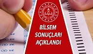 BİLSEM ( Bilim ve Sanat Eğitim Merkezleri )Sonuçları Açıklandı! 2021 BİLSEM Sonuçları Sorgulama Sayfası..