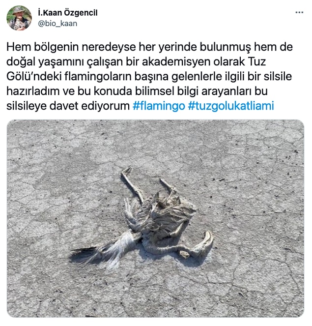 İşte bu konuya değinen Biyolog Kaan Özgencil, canınızı gerçeklerle biraz daha sıkacak.