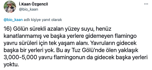 👇