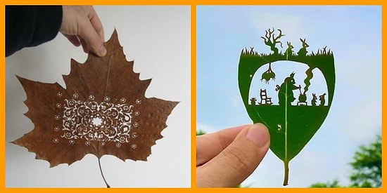 Tahmin Ettiğiniz Şey Değil! Sonbaharda Ağaç Yapraklarının Dökülmesine Sebep Olan Şey Ne?