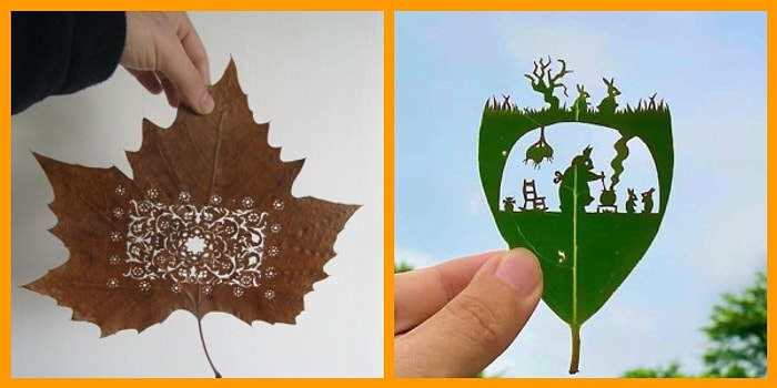 Tahmin Ettiğiniz Şey Değil! Sonbaharda Ağaç Yapraklarının Dökülmesine Sebep Olan Şey Ne?