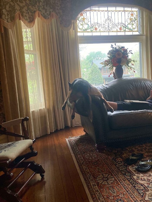 6. Любимая его поза