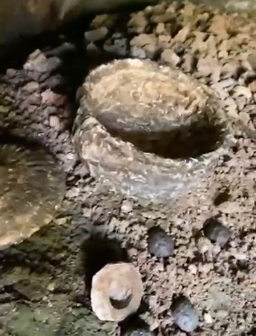 Peynir tatlısıyla benzerlik gösteriyor