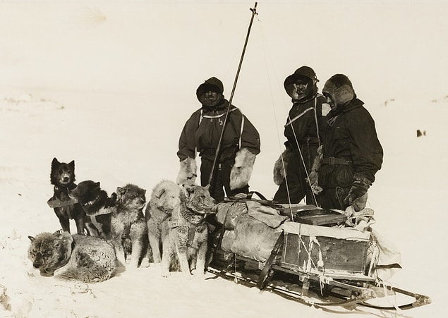 Yolculuğu boyunca Douglas Mawson'a İsviçreli kaşif Xavier Mertz ve İngiliz üsteğmen Belgrave Ninnis eşlik ediyordu.
