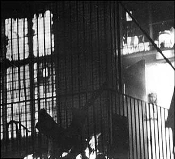 9. Tony O'Rahilly, 1995 yılında İngiltere Belediye Binası'nda çıkan yangını bu kareyle ölümsüzleştirdi...