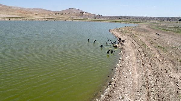 'Baraj suları, bu yılki şiddetli kuraklık nedeniyle erken çekildi'