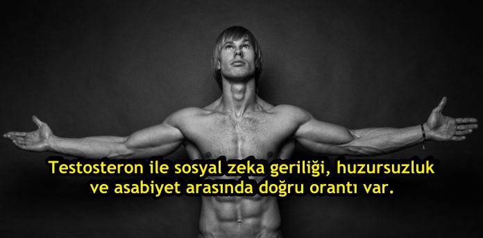 s-2bf7dcd75a54efec20f893941072680a62ff87ae.jpg