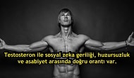 Dünyayı Yöneten Cinsellik Hormonu Testosteron Hakkında İlginç Bilgiler ve Deneyler