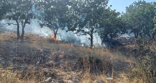 Çanakkale'de Orman Yangını: 10 Hektar Alan Zarar Gördü