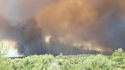 Antalya Manavgat'ta Orman Yangını: Yerleşim Yerlerine Kadar İlerledi
