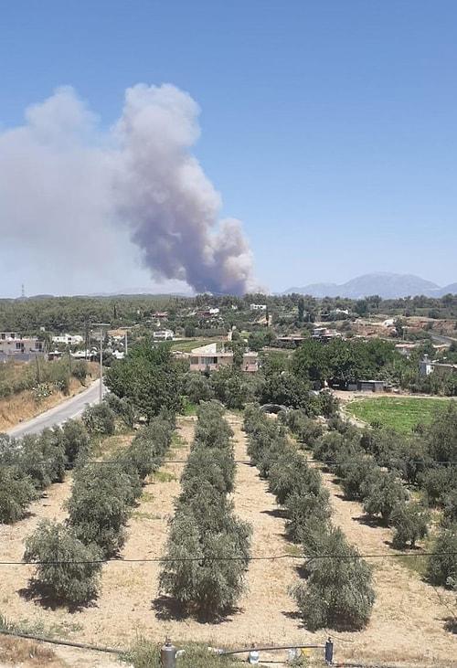 Antalya Manavgat'ta Orman Yangını: Yerleşim Yerlerine Kadar İlerledi