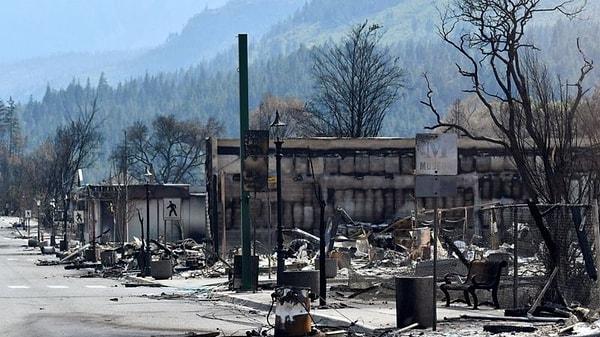 ABD'nin Kaliforniya eyaletinde yangınlar 7 katına çıktı