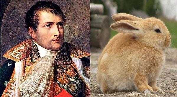 17. Napolyon Bonapart, tavşanlar tarafından saldırıya uğramıştır.