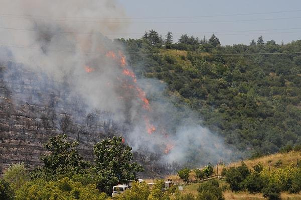 Kocaeli'de 30 dönüm ormanlık alan yandı