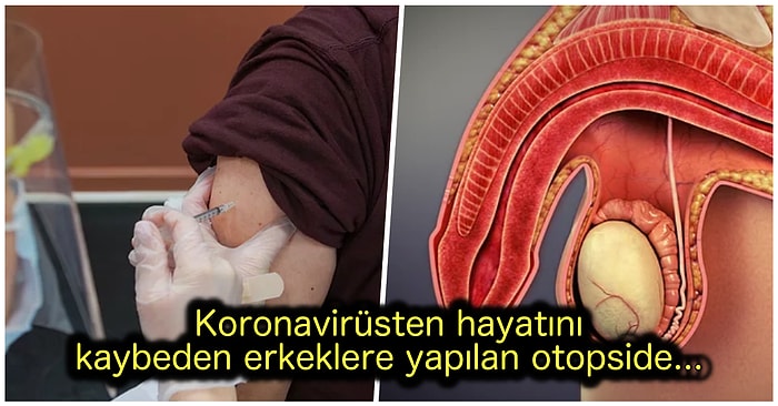 Yapılan Araştırmalar 'Kovid Aşısı Kısır Yapar mı?' Sorusuna Son Noktayı Koydu!