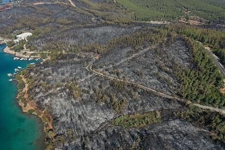 80 Hektar Alan Kül Oldu: Bodrum'daki Yangının Boyutları Gün Ağarınca Ortaya Çıktı