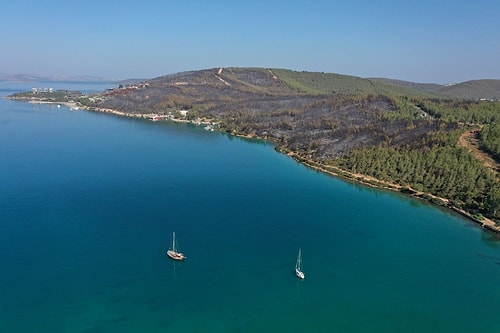 80 Hektar Alan Kül Oldu: Bodrum'daki Yangının Boyutları Gün Ağarınca Ortaya Çıktı