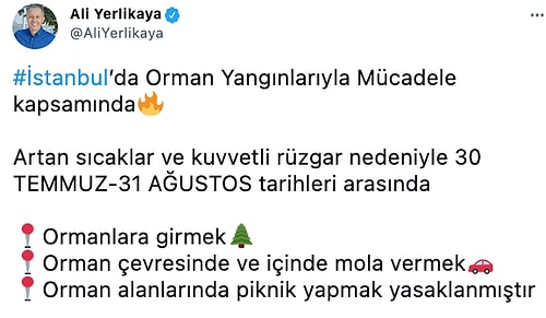 Valilik Duyurdu: İstanbul'da 31 Ağustos'a Kadar Ormanlık Alanlara Girmek Yasaklandı