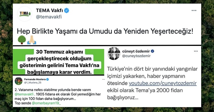 Umudu Birlikte Yeşerteceğiz! Yangının Yaralarını Sarmak İçin TEMA Başta Olmak Üzere Tüm Türkiye Seferber Oldu