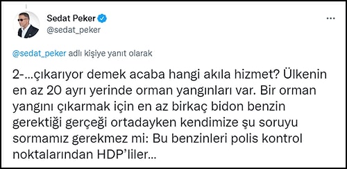 Sedat Peker'den Yangın Paylaşımı: 'HDP’lileri Suçlamak Hangi Akla Hizmet?'