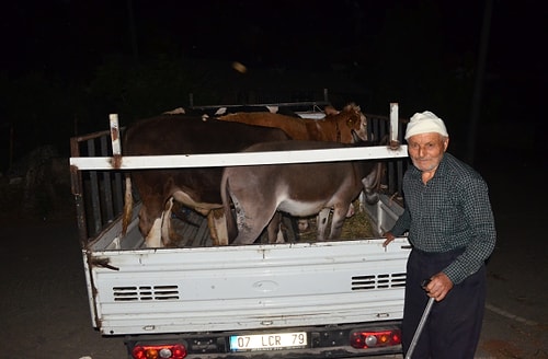 Manavgat'ta Yangının Yayılması Nedeniyle Bir Mahalle Daha Boşaltıldı