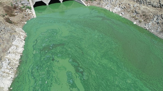 Sazlıdere Barajı'nın Rengi Yeşile Döndü