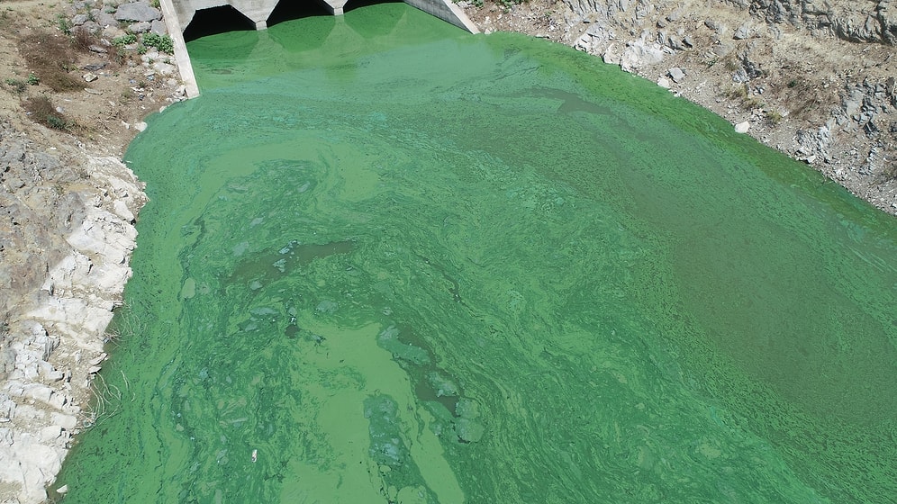 Sazlıdere Barajı'nın Rengi Yeşile Döndü