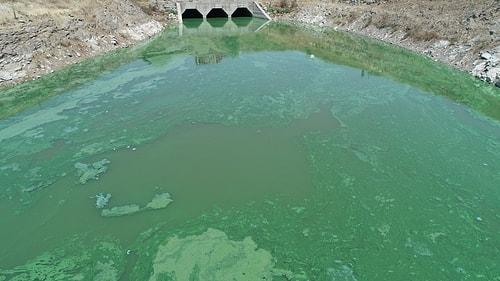 Sazlıdere Barajı'nın Rengi Yeşile Döndü