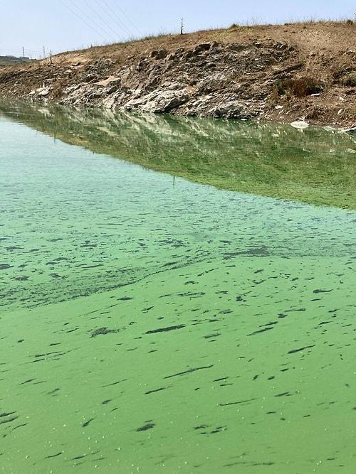 Sazlıdere Barajı'nın Rengi Yeşile Döndü