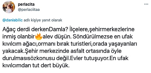 Danla Bilic, Fidan Bağışlayan İnsanları Eleştirince Toplumsal Medyada Yeni Bir Tartışma Başladı