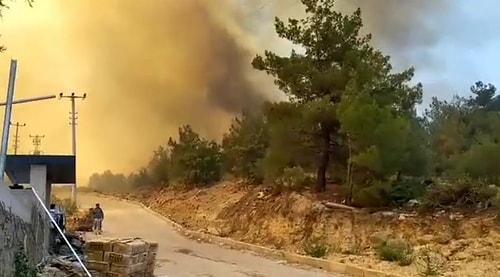 Dört Bir Yanımız Yanıyor! Türkiye'yi Ele Geçiren Orman Yangınlarından Yürekleri Paramparça Eden İmgeler