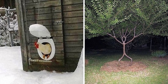 15 криповых вещей и растений в чужих дворах и садах