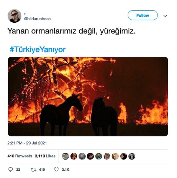 4. Sosyal medyada paylaşılan bir orman yangını fotoğrafının Türkiye'ye ait olduğu iddia edilmişti, fakat görüntünün doğru olmadığı ortaya çıktı.