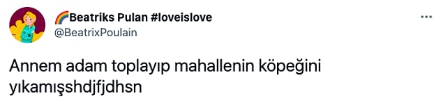 13. İşte analık, kirli görünce dayanamamış demek ki. 😂