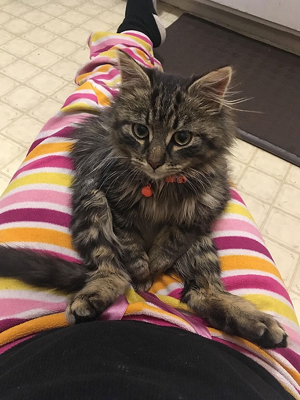 6. Присел отдохнуть